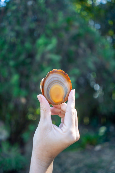 Petite Carnelian Agate Slice